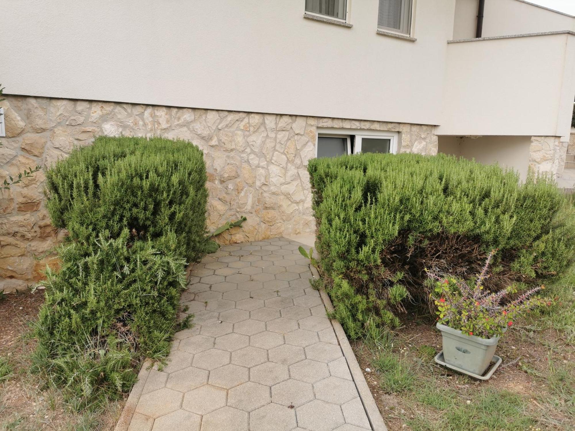 Apartment Riva *
