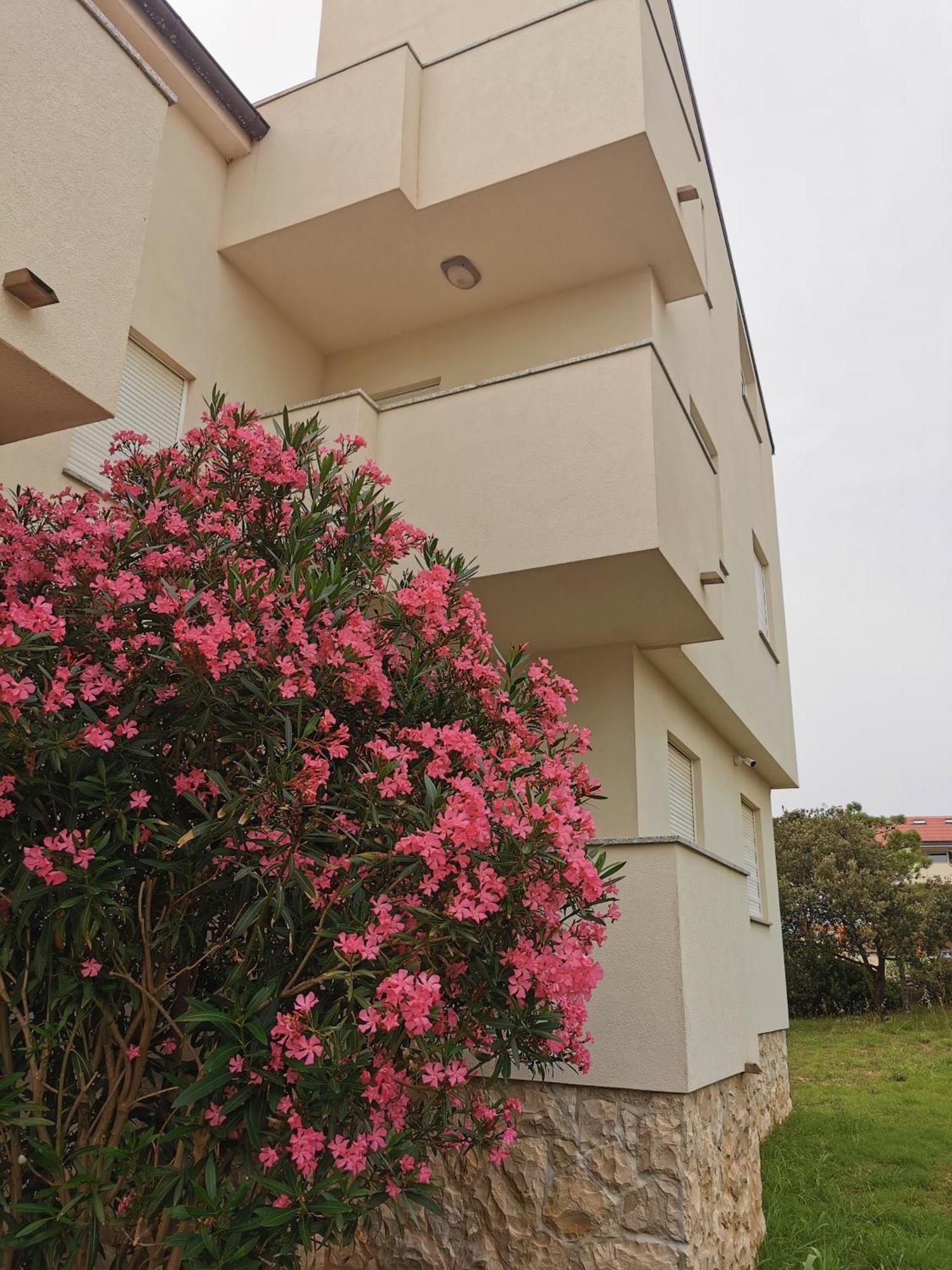 Riva Apartment